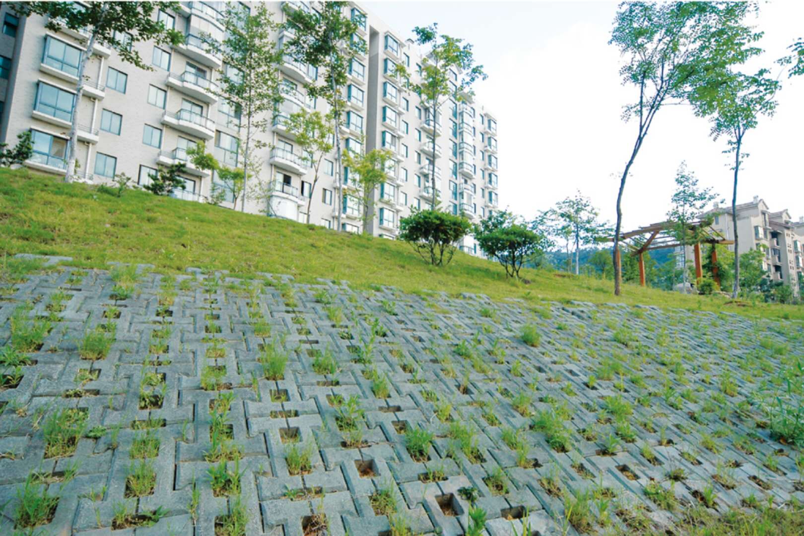 山東植草磚